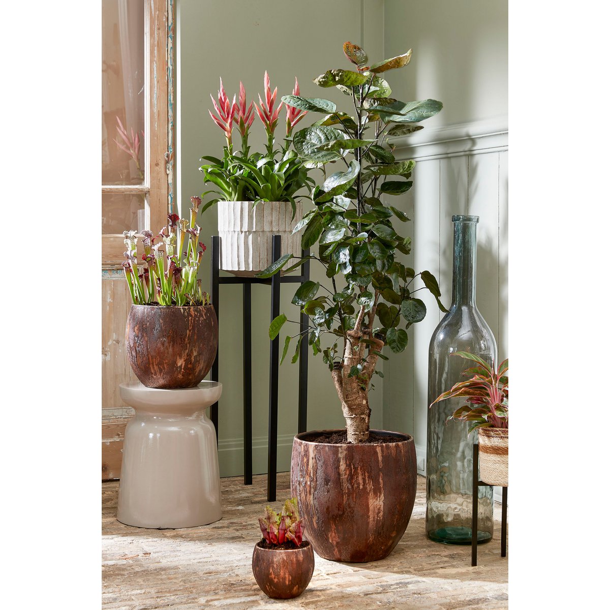 Flora Plantenstandaard XL L38 x B38 x H71 cm Metaal Zwart