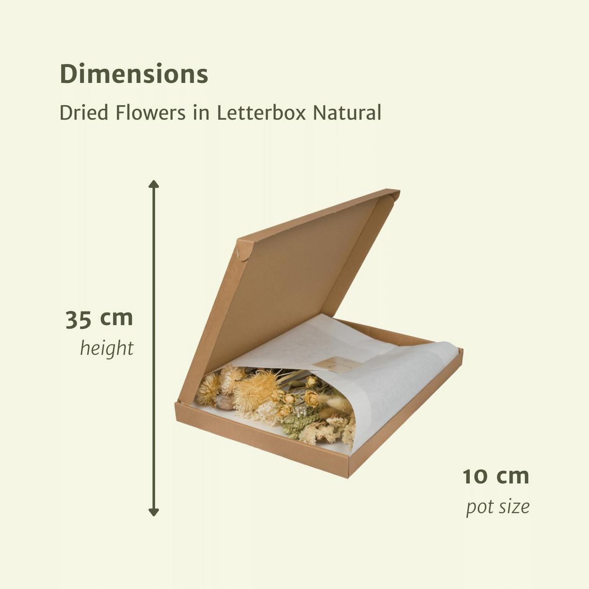 Droogbloemen Brievenbuspakket  multi natuurlijk