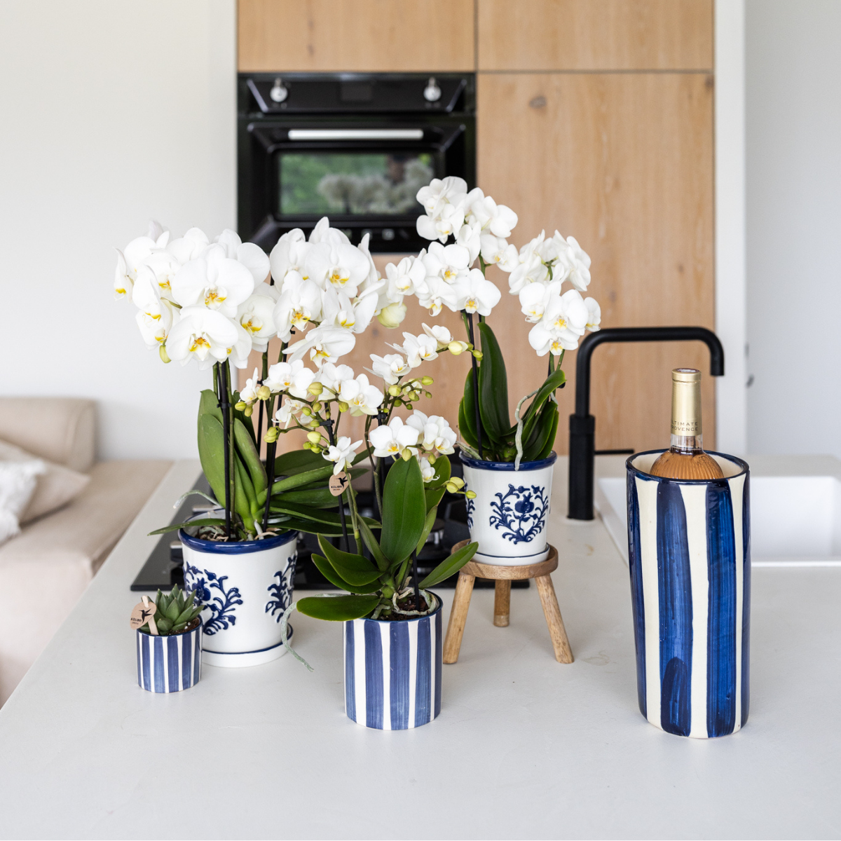 Witte orchidee Dutch Blauw Sierpot Wit Ø9cm