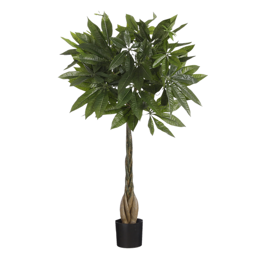 Pachira Kunstplant H80 x Ø60 cm Groen