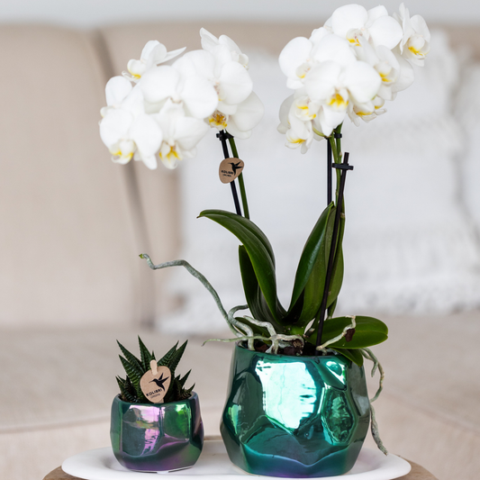 Diamond pot Green Ø6cm