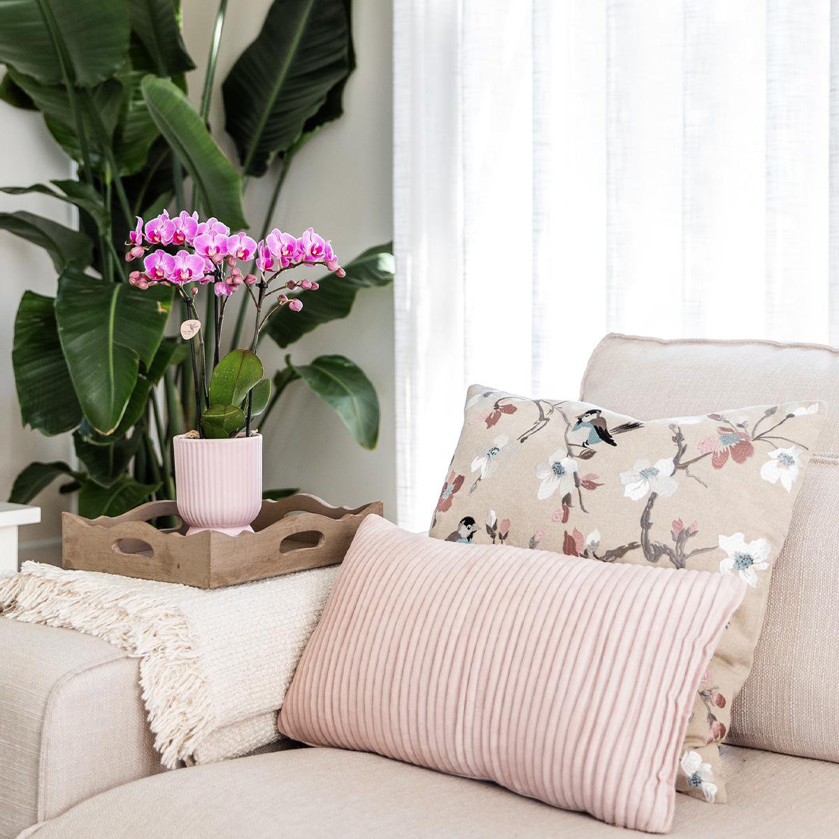 Trio Set Elegance sierpot
