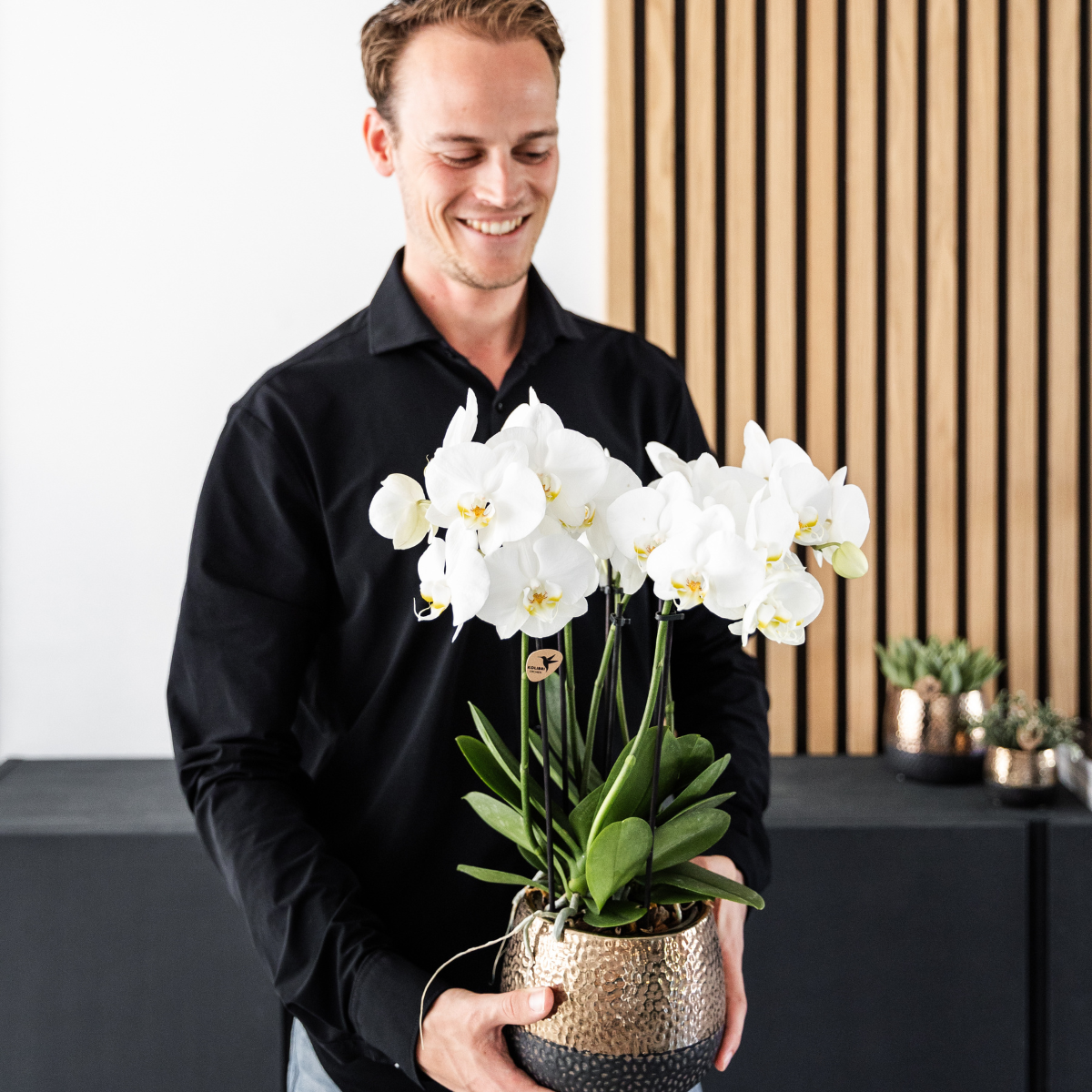 Bundel van 2 witte Phalaenopsis orchideeën potmaat Ø12cm