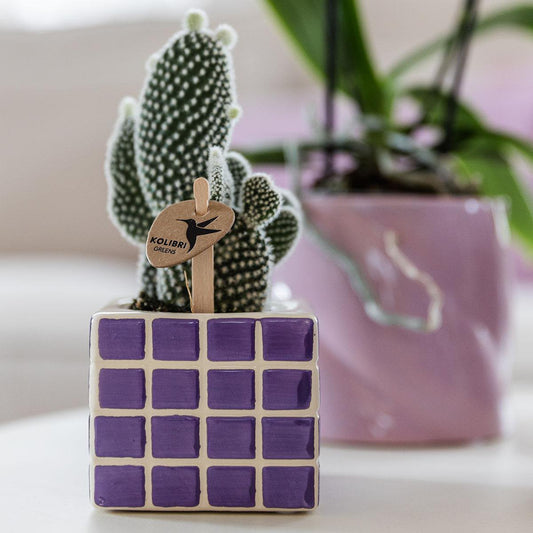 Lilac Cube Canvas Keramiek sierpot  Ø6cm