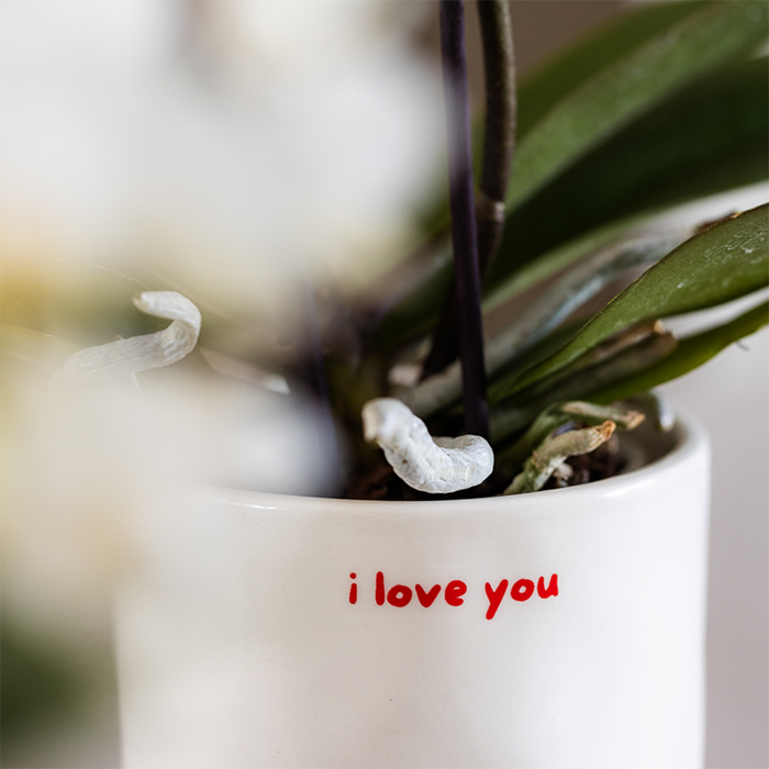 Boodschap sierpot I love you Ø9cm