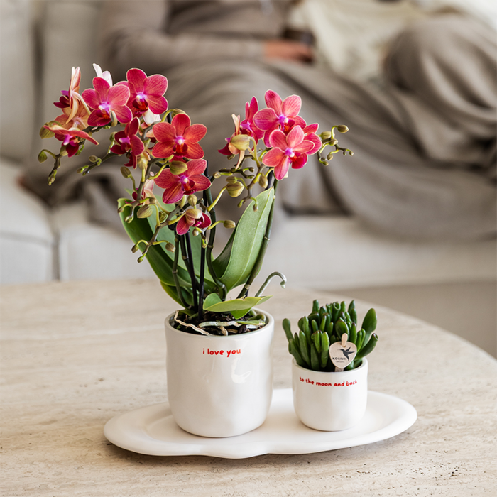 Boodschap sierpot I love you Ø9cm